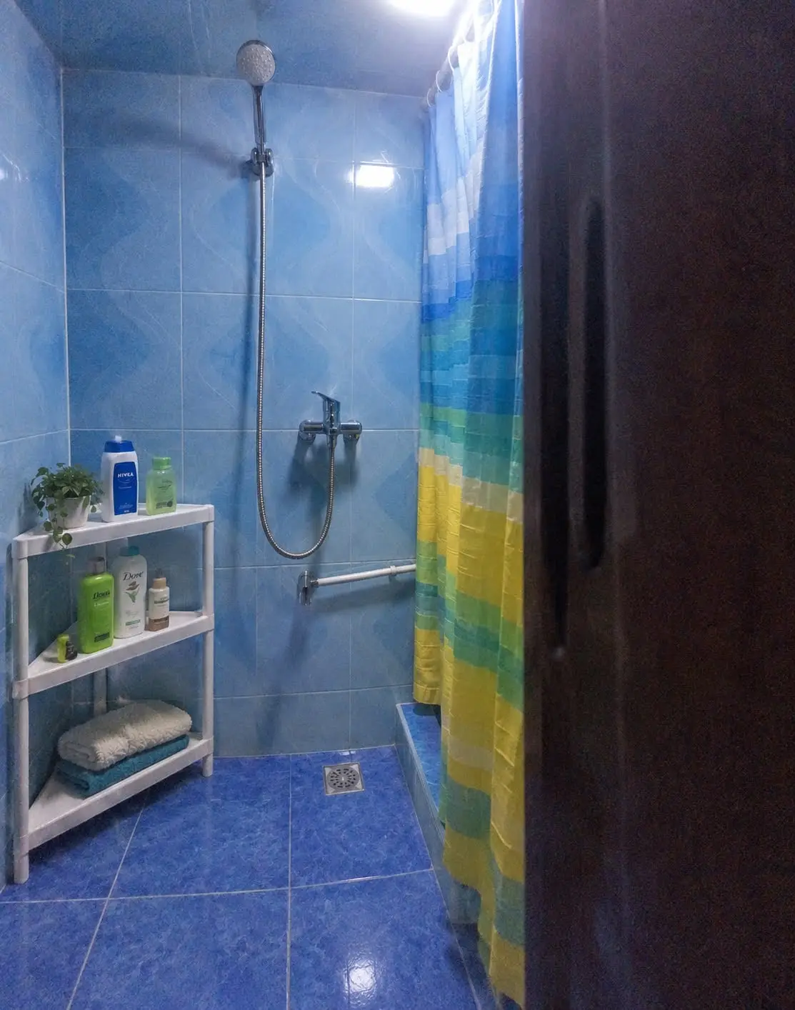 Shower with blue tiles